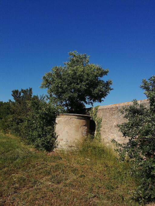 Le Soleil D Eugenie Appartement Dans Residence Avec Piscine Commune Pres De Carcassonne Olonzac Bagian luar foto