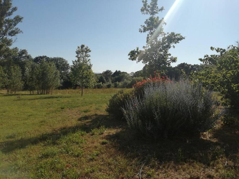 Le Soleil D Eugenie Appartement Dans Residence Avec Piscine Commune Pres De Carcassonne Olonzac Bagian luar foto