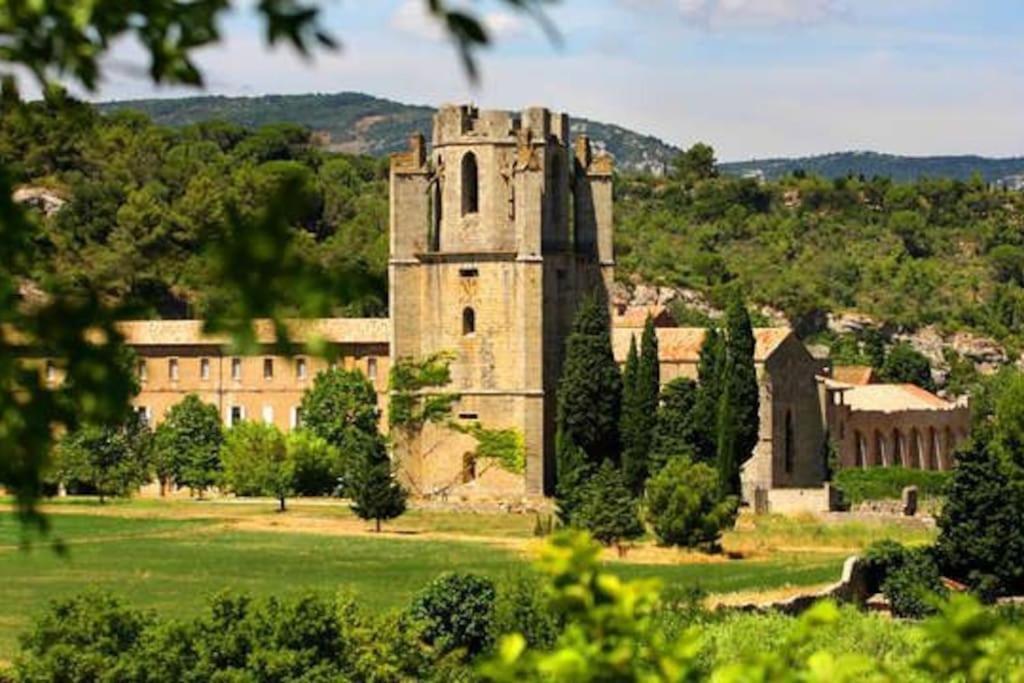 Le Soleil D Eugenie Appartement Dans Residence Avec Piscine Commune Pres De Carcassonne Olonzac Bagian luar foto