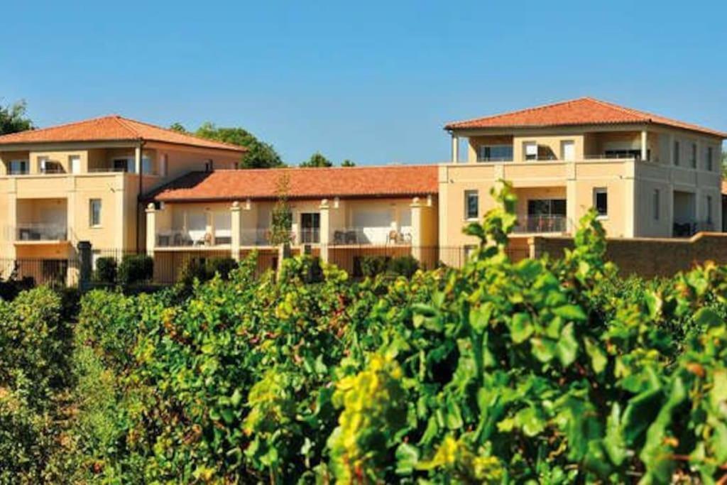 Le Soleil D Eugenie Appartement Dans Residence Avec Piscine Commune Pres De Carcassonne Olonzac Bagian luar foto