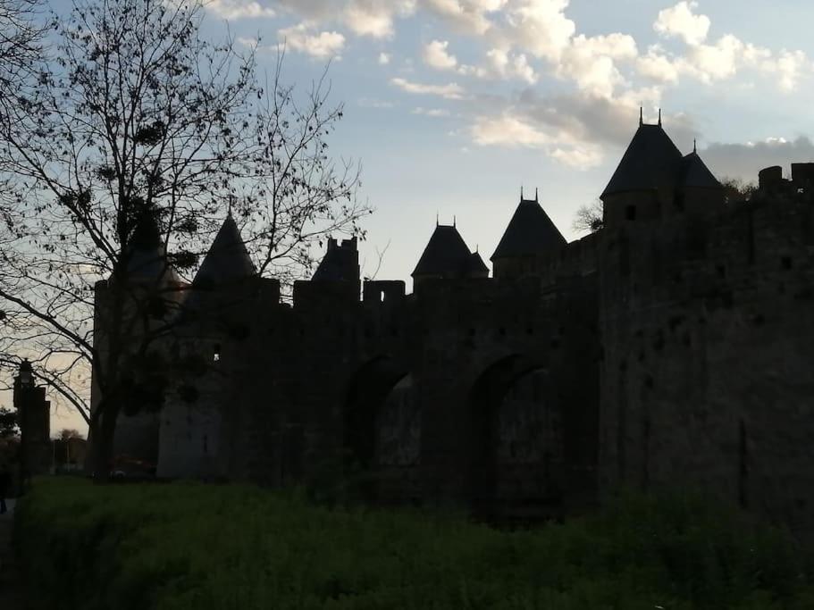 Le Soleil D Eugenie Appartement Dans Residence Avec Piscine Commune Pres De Carcassonne Olonzac Bagian luar foto