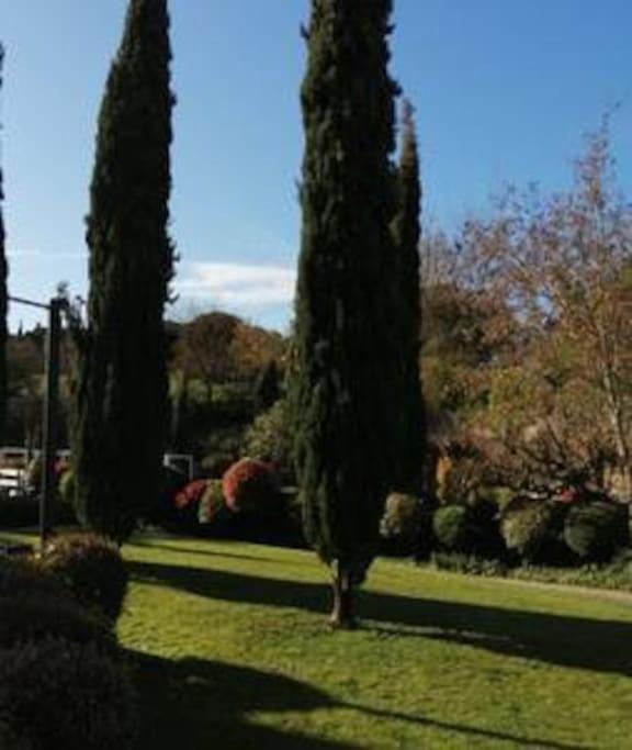 Le Soleil D Eugenie Appartement Dans Residence Avec Piscine Commune Pres De Carcassonne Olonzac Bagian luar foto