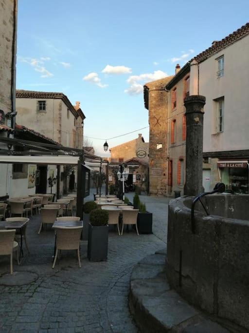 Le Soleil D Eugenie Appartement Dans Residence Avec Piscine Commune Pres De Carcassonne Olonzac Bagian luar foto