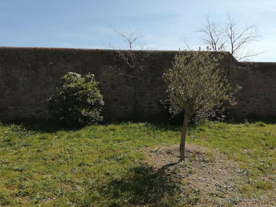 Le Soleil D Eugenie Appartement Dans Residence Avec Piscine Commune Pres De Carcassonne Olonzac Bagian luar foto
